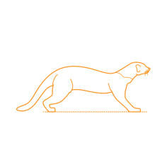 Animals Mustelids Tayra Line Art Svg Vector, Free Vectors File